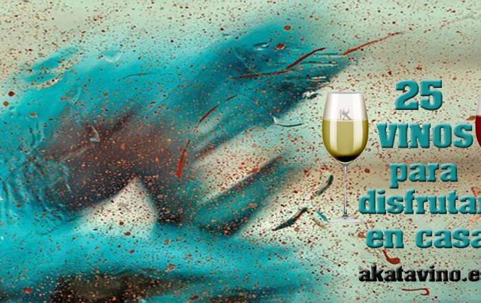 25 Vinos para comprar online y disfrutar en casa by AkataVino (2)
