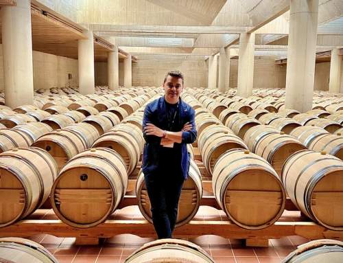 Alma Carraovejas: Descubrimos uno de los proyectos vitivinícolas más inspiradores de España