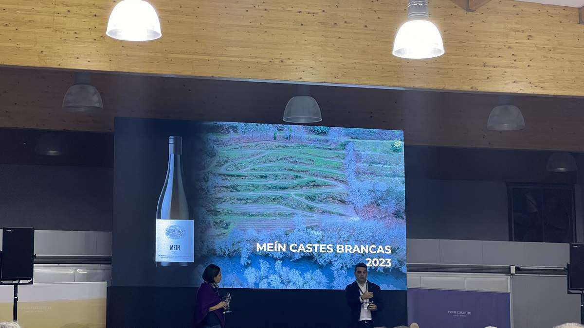 ALMA CARRAOVEJAS La Maxima expresion de la cultura del vino by AkataVino (25)