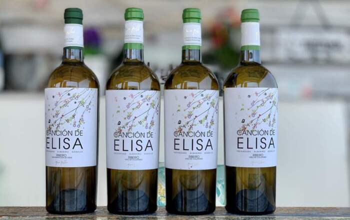 Adega Dona Elisa Cata Vertical (
