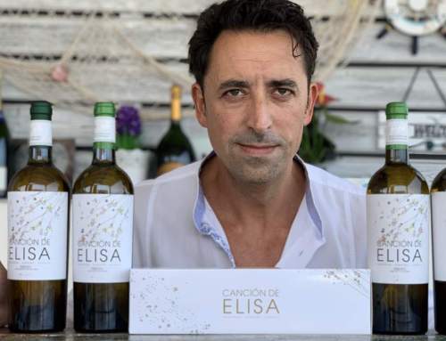 Cata Vertical La Canción de Elisa: Vinos de Colleiteiro | AkataVino