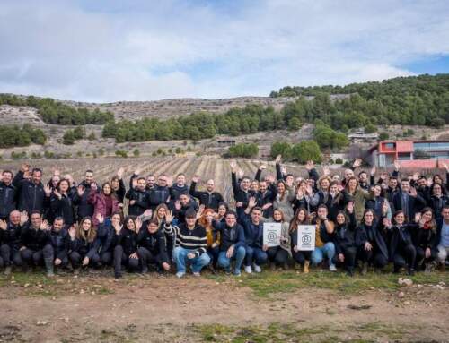 Alma Carraovejas alcanza un hito único al obtener la certificación B Corp
