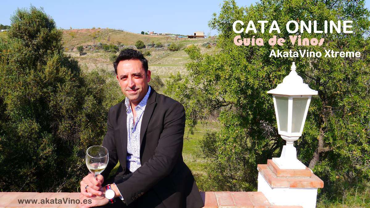 Antonio Jesus cata online web