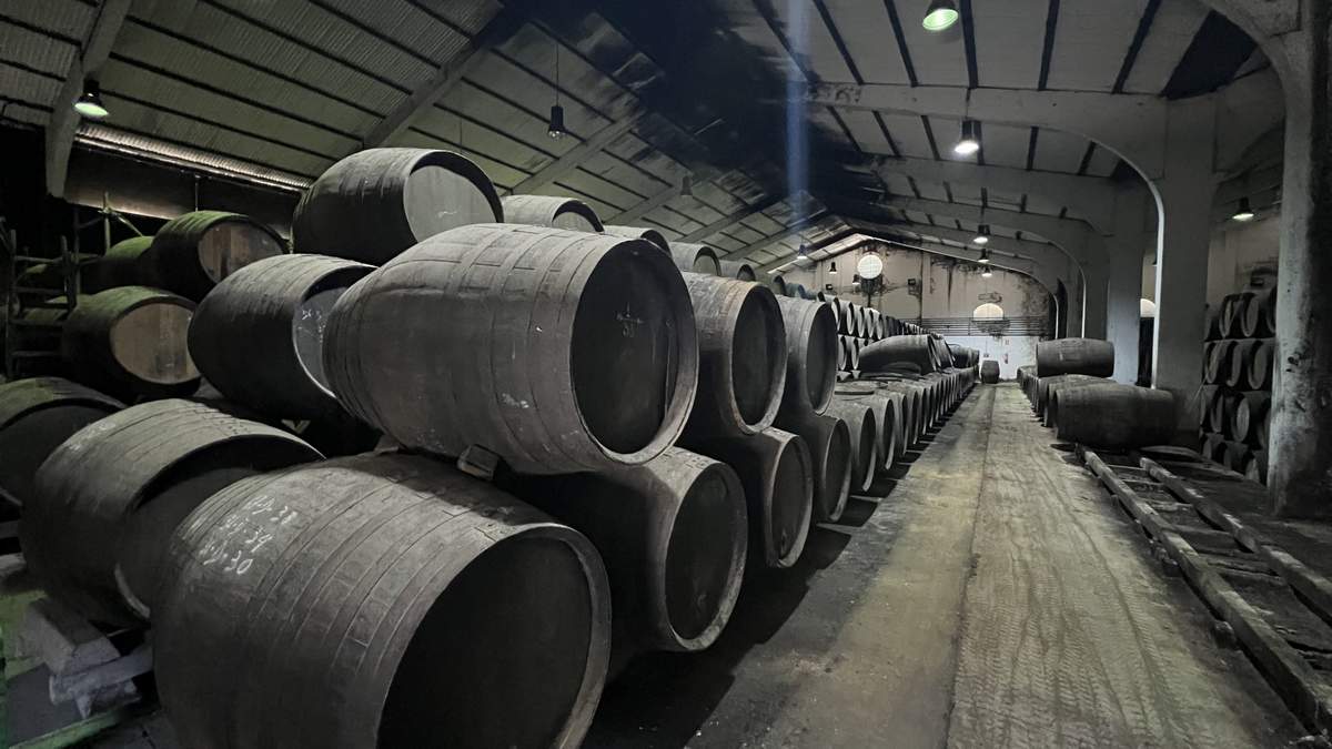Bodegas Delgado Zuleta