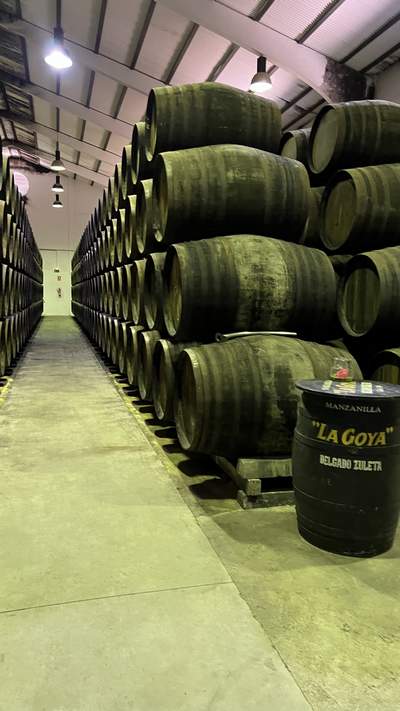 Bodega Delgado Zuleta Barricas © AkataVino.es (3)