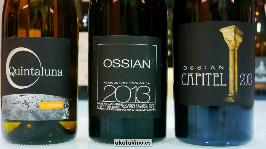 Ossian Top 10 Mejores Blancos 2016 Bodega Pago de Carraovejas y Ossian Guia Xtreme 2016 © akataVino (38)