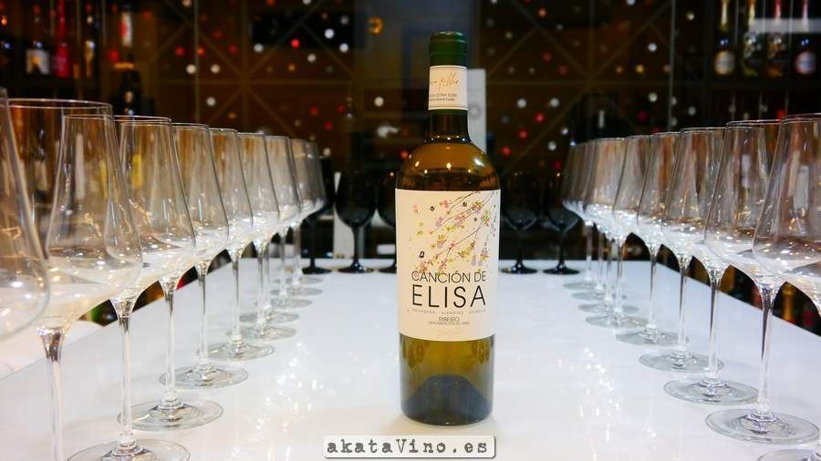 Cancion de Elisa 2013 Guia de Vinos Xtreme © akataVino.es (60)