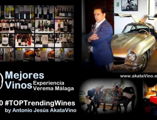 Los Mejores Vinos Experiencia Verema Málaga | Lista TOP Trending Wines de AkataVino