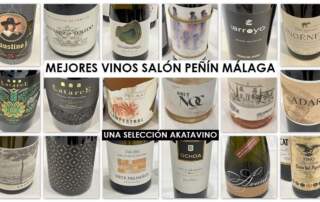Cartel-Mejores-Vinos-Salon-Penin-Malaga-Seleccion-AkataVino