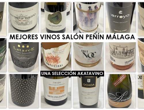 25 Mejores Vinos Guía Peñín 2025 Salón Selección Málaga by AkataVino