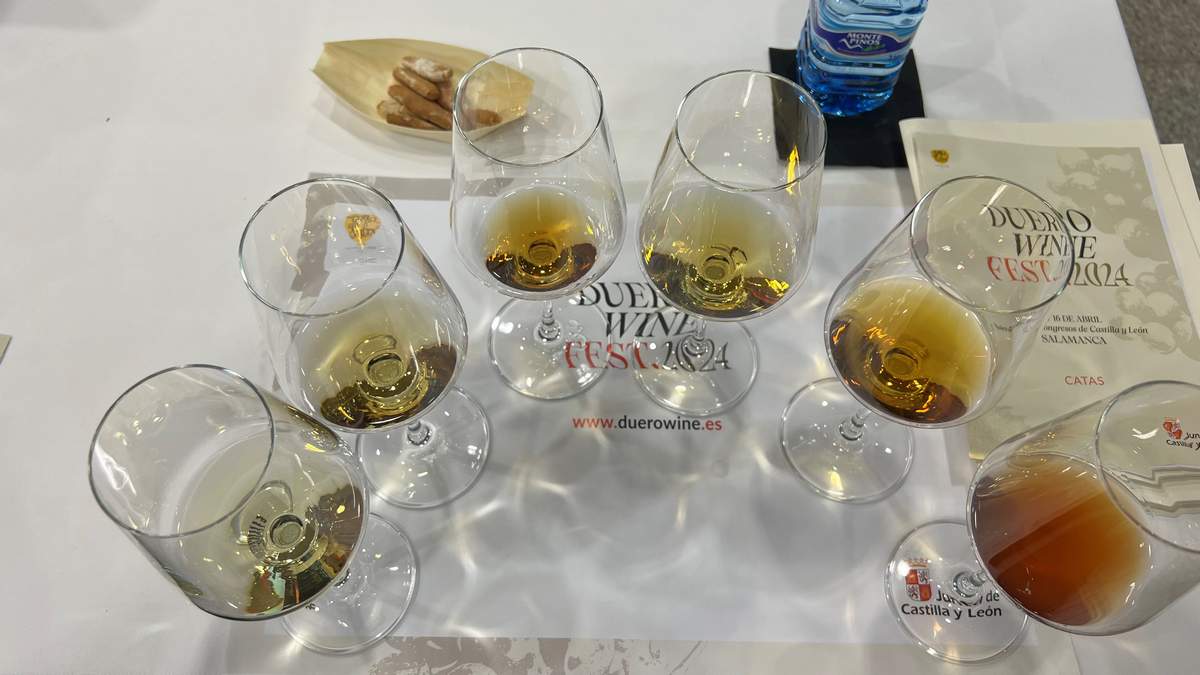 Duero Wine Fest DO Arribes del Duero