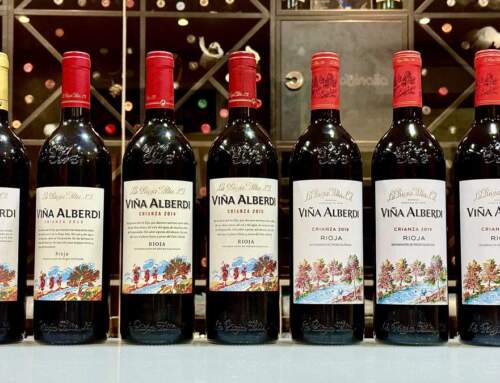 Cata Vertical Viña Alberdi: Un Viaje Sensorial a Través del Tiempo | AkataVino