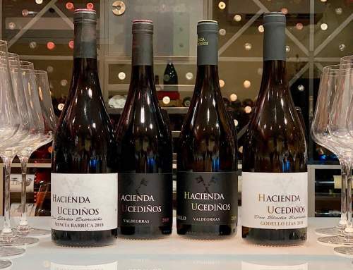 Hacienda Ucediños, brillando en Valdeorras por sus godellos y mencías | AkataVino Magazine