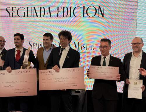 Brice Michaud de Casa Jondal, Mejor Sumiller de Espumosos en el Sparkling Wine Master by Tantum Ergo 2024 de España