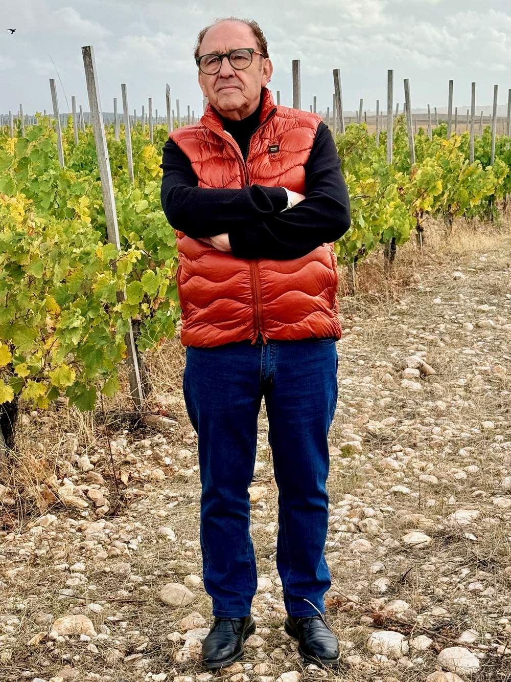Ossian Vides y Vinos