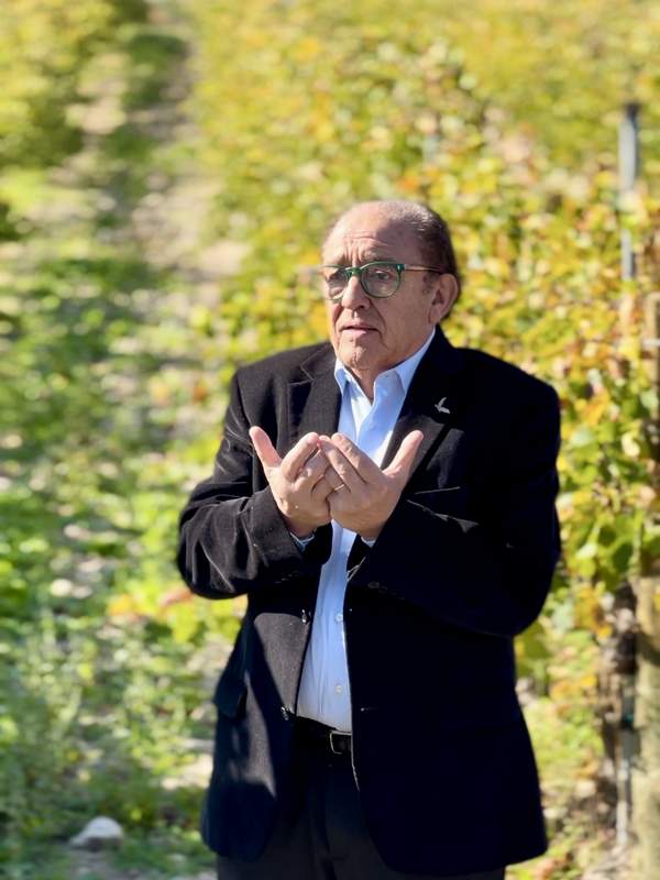 Pago de Carraovejas nuevas añadas y parcelarios