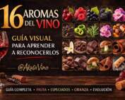 Portada Guia Aromas del Vino por AkataVino