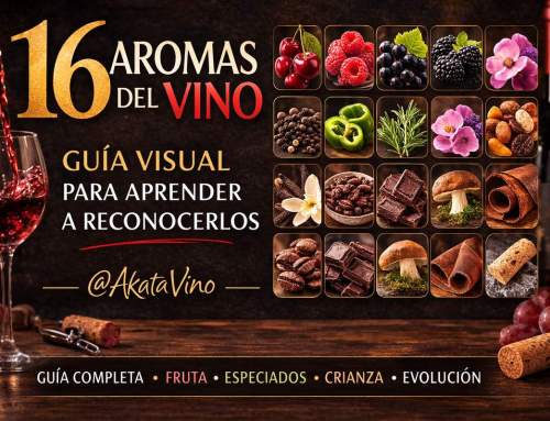 Los 16 aromas del vino: guía completa para aprender a reconocerlos