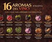 Portada Guia Aromas del Vino por AkataVino