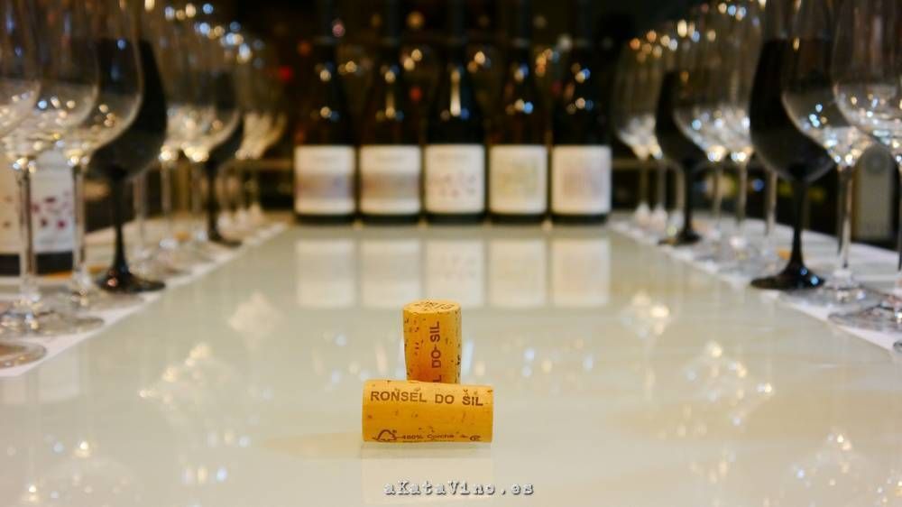 Ronsel do Sil Guia de Vinos Xtreme 2015 © akatavino.es (39)