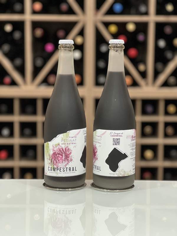 TOP 10 mejores vinos espumosos 2023