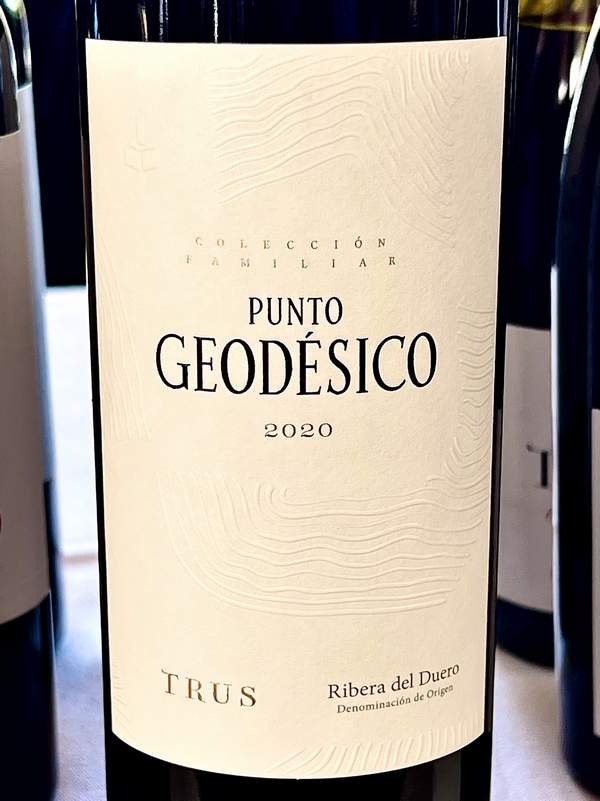 TRUS PUNTO GEODESICO 2020