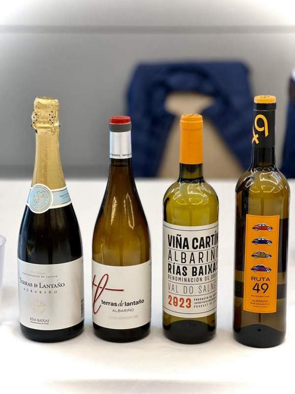 Mejores Albariños Rías Baixas