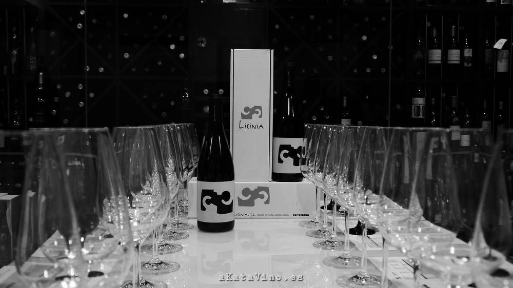 Vino Licinia 2010 Guia de Vinos Xtreme 2015 © akatavino.es (6)