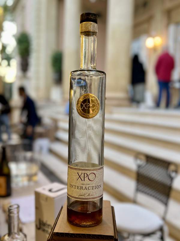 XPO INTERACTION 2016 IX Encuentro Profesional Vadevinos