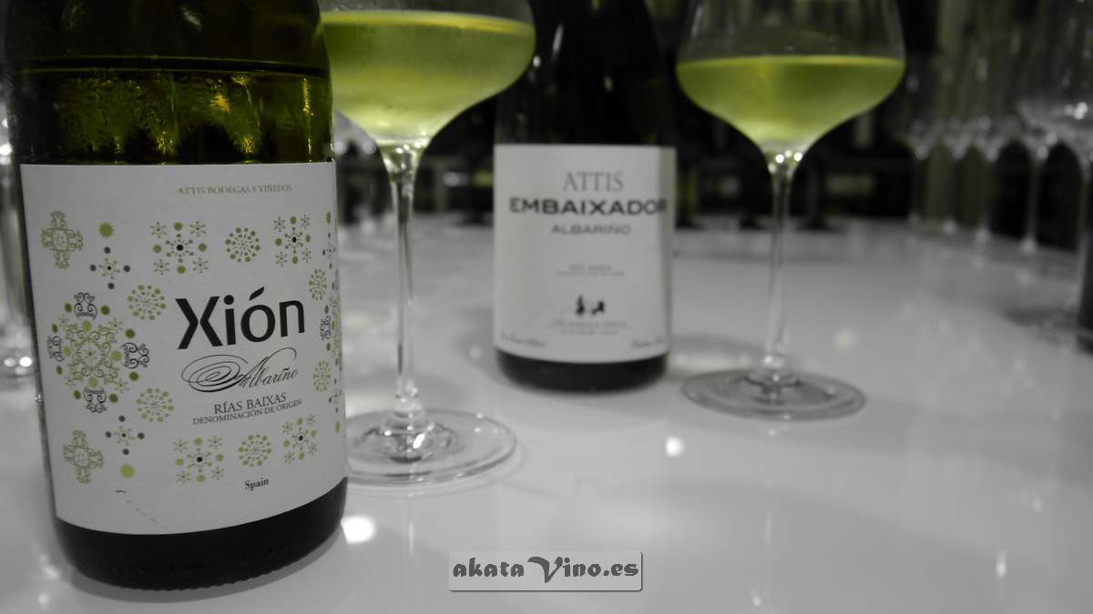 xion-2015-de-attis-guia-akatavino-3